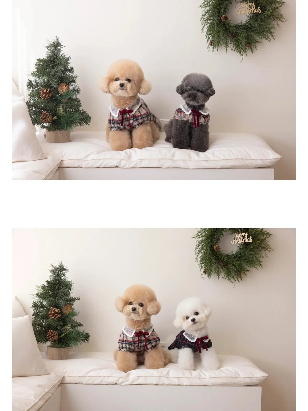 Plaid Lace-Collar Dog Blouse with Red Bow